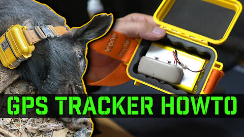 How to build a GPS Tracker for Feral Hogs for under $100