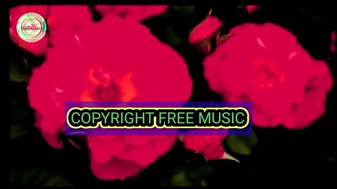 Copyright free harmonium background Indian instrumental music for content creators.