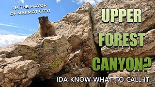 Upper Forest Canyon? [Ida know what to call it] - Rocky Mountain National Park