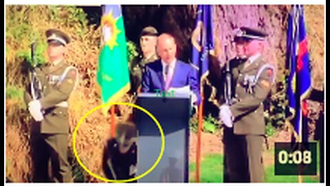 Oooops - Soldier Suddenly Drops During Collins Commemorations