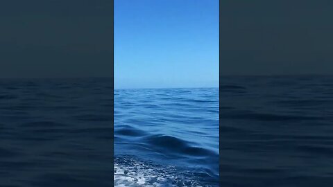 Flat Calm At Sea. #trending #shorts #merchantnavy #lifeatsea #tuglife #tugboats #ocean #calm #ship