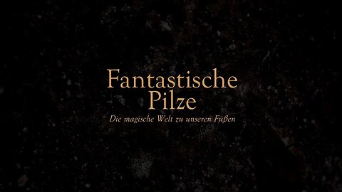 Fantastische Pilze Doku