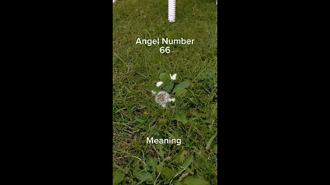 Angel number 66 | 66 angel number meaning