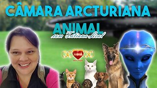 Cura na Câmara Arcturiana Animal - Com Tatiana Leal