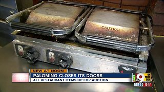 Palomino items up for auction