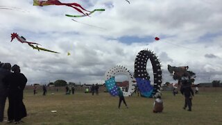 SOUTH AFRICA - Cape Town - Stock - Kites (Video) (gej)