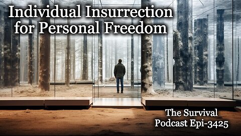 Individual Insurrection for Personal Freedom - Epi-3425
