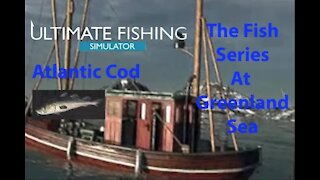 Ultimate Fishing Simulator: The Fish - Greenland Sea - Atlantic Cod - [00085]