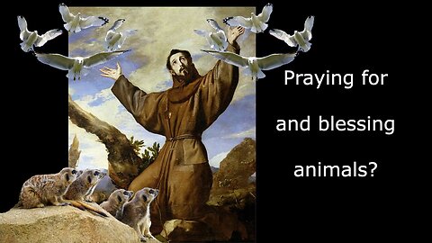 St Francis and the Blessing of the Animals | #anglican #blessing #animals