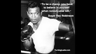 Robinson, Champ