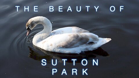 SUTTON PARK: Nature of Birmingham