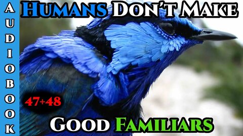 Humans Don't make Good Familiars (Ongoing) - Ch.47+48 | HFY | Fantasy |