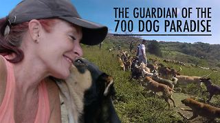 The woman behind the tropical dog paradise