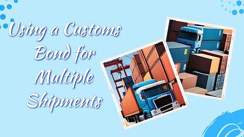 Navigating Multiple Shipments with a Single Customs Bond