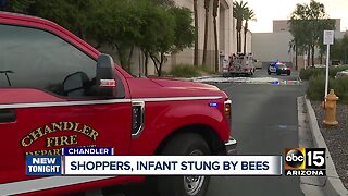 Firefighters: Infant, four others stung by bees at Chandler Fashion Center