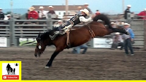 Bareback Broncs Section 1 - 2022 Champions Challenge Xtreme Roughstock