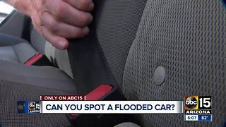 Can you spot a flood-damaged car?