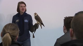 The World Center for Birds of Prey will expand after being named FUNDSY beneficiary