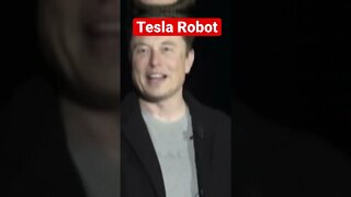 The ALL NEW Tesla Robot