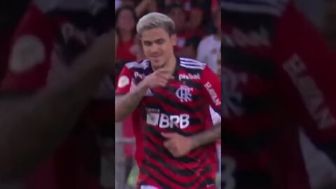 TERCEIRO GOL DO FLAMENGO CONTRA O BRAGANTINO/PEDRO