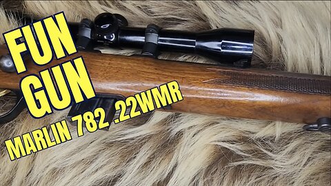 Marlin 782 .22 Magnum!