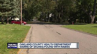 Rabies confirmed in skunks from Southfield, Farmington Hills
