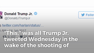 Donald Trump Jr. Makes Simple Statement Against Glorifying Violence