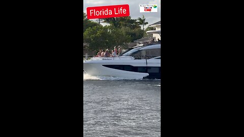 Florida Life 🚤🌴 #floridalife #Florida #fortlauderdale #miami #boat #yacht #beach #miamibeach