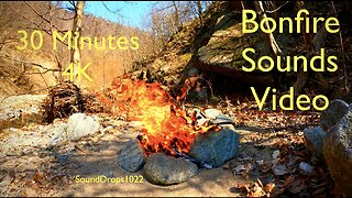 30-Minute Bonfire Escapade | Wilderness Ambiance and Crackling Fire