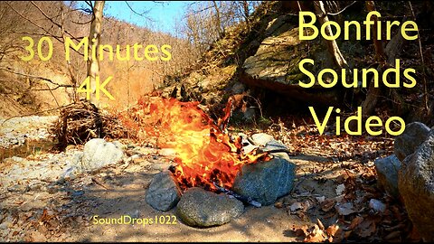 30-Minute Bonfire Escapade | Wilderness Ambiance and Crackling Fire