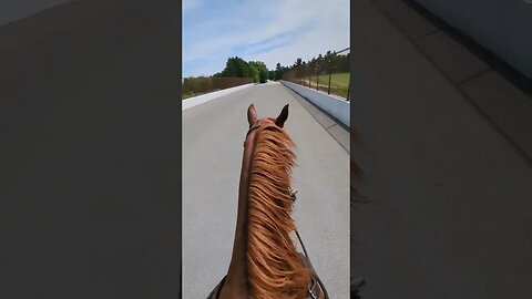 100 Miles Later & Cajun's Finally Over his Interstate Bridge Phobia - Solo Horse Adventures 🐴😁