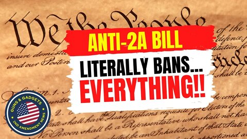 Anti-2A Bill Literally Bans...EVERYTHING!!!
