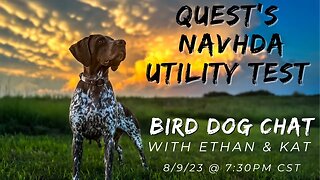 Quest’s NAVHDA Utility Test: The Good, The Bad & The Naughty