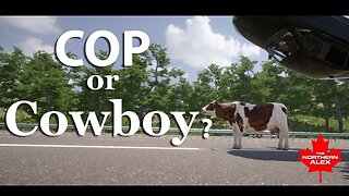 Cop or Cowboy ? Autobahn Simulator 3