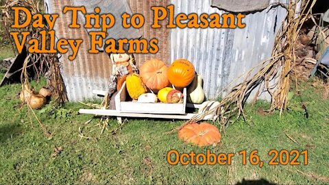 Day Trip to Pleasant Valley Farms