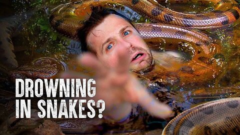 HOW TO SURVIVE A SWAMP FULL OF ANACONDAS | Tech and Science |