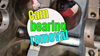 how to remove cam bearings