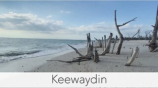 Exploring a Florida island. Kayaking to an island and beachcombing.