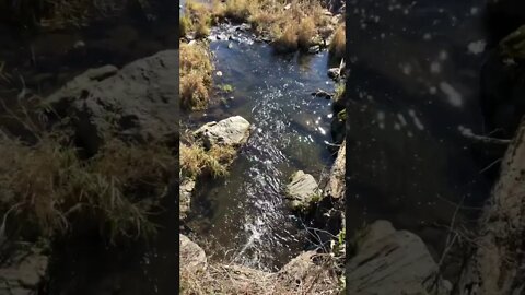 Clean clear water flowing, Link to cheap Filter to drink with safety in Description