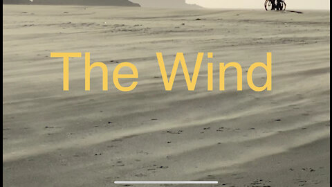 The Wind