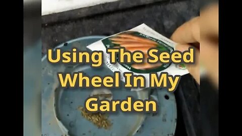 Using My Seed Wheel In My Garden To Plant