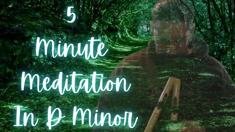5 Minute Native American Drone Flute Meditation in D Minor