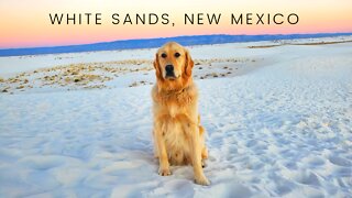 Exploring the White Sands National Park on a brisk December day with our Golden Retriever Part 2