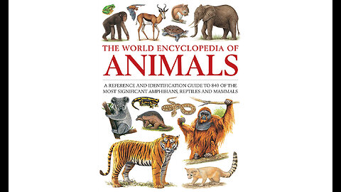 The World Encyclopedia of Animals