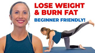 Beginners! Full Body Workout! Lose Weight Burn Fat! Build Muscle! w/ Tessa