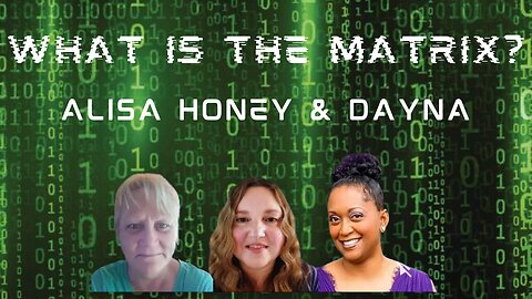 What is the Matrix? Fireside Chat with Honey & Alisa