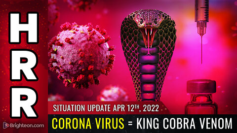 Situation Update, April 12, 2022 - Corona Virus = King Cobra VENOM