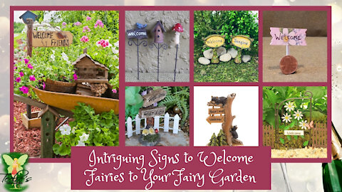 Teelie's Fairy Garden | Intriguing Signs to Welcome Fairies to Your Fairy Gardenc | Teelie Turner