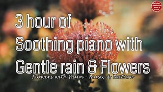 Soothing music with piano and soft raining sound for 3 hours, relaxation music for work & study