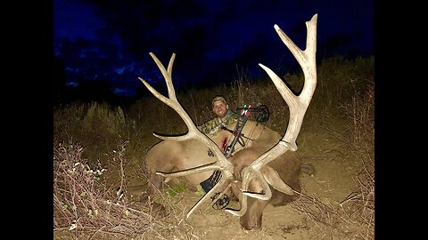Elk Archery Hunt (Huge 328" Bull Kill!)